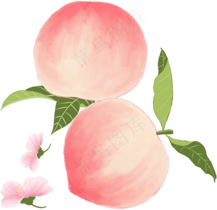 两个鲜红的大桃子