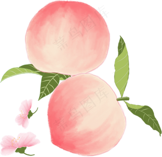 两个鲜红的大桃子