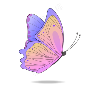 矢量小清新蝴蝶装饰,免抠元素