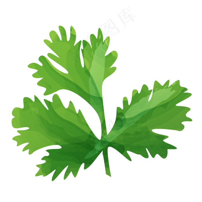 植物绿色叶子免抠图