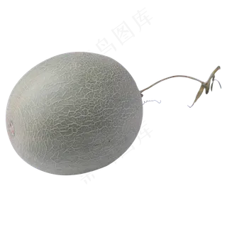 浅绿色哈密瓜,免抠元素