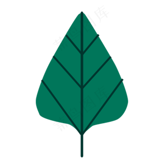 三角形状的墨绿色叶子
