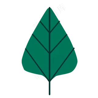 三角形状的墨绿色叶子