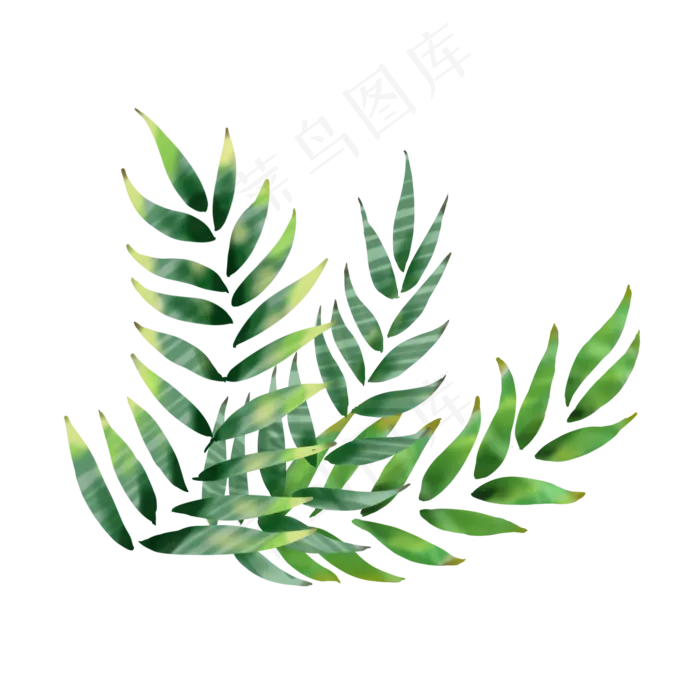 绿色叶片(2000X2000(DPI:300))psd模版下载