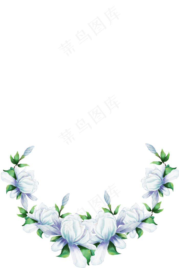 夜来香白色栀子花环形花朵装饰边,免抠元素(3545X5315(DPI:300))psd模版下载