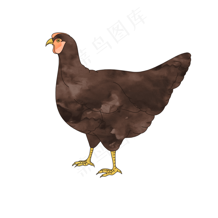 水彩风格母鸡PNG