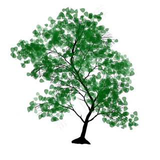 春天绿树图案免抠素材