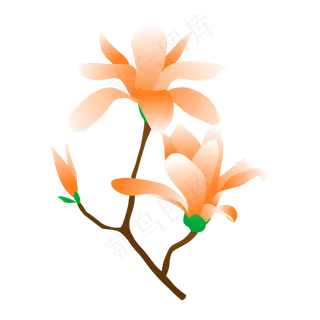 矢量免扣卡通兰花