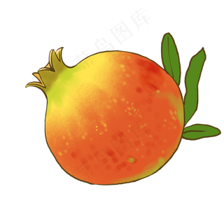 手绘美食水果红色石榴