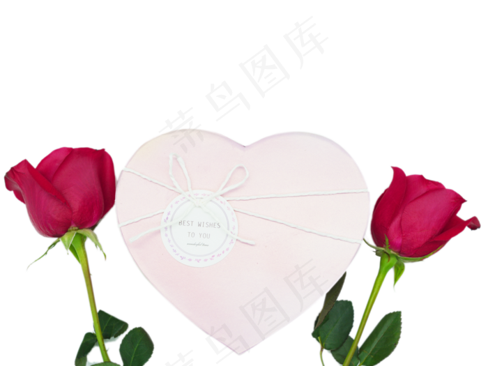 浪漫爱情玫瑰花