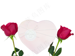 浪漫爱情玫瑰花