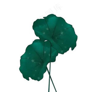 荷叶春天春雨清明手绘装饰图案