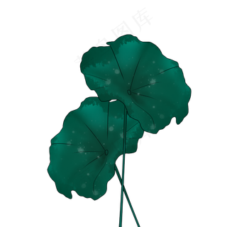 荷叶春天春雨清明手绘装饰图案