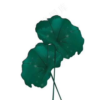 荷叶春天春雨清明手绘装饰图案