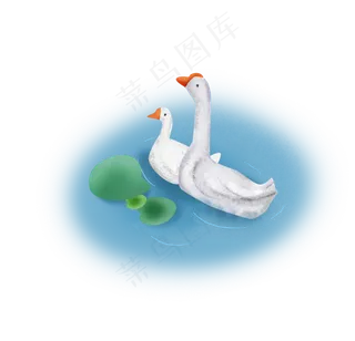 夏至池塘里的两只鹅