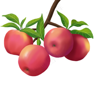 食物类树上苹果果实手绘