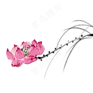 水墨中国风荷花