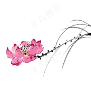 水墨中国风荷花