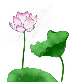 荷花荷叶春雨清明手绘装饰