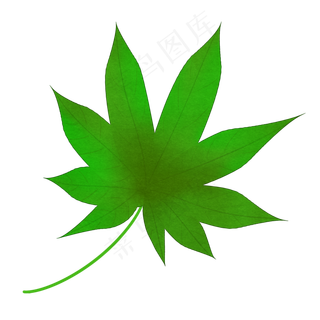 一片创意叶子装饰免抠