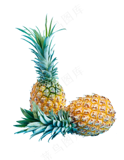 水果菠萝