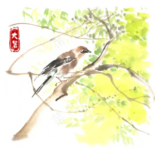 大暑枝头的小鸟