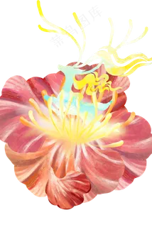 百花齐放山海灵兽 百花齐放山海灵兽