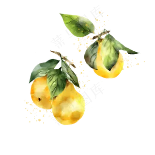 夏天夏日水果水彩手绘电商免扣装