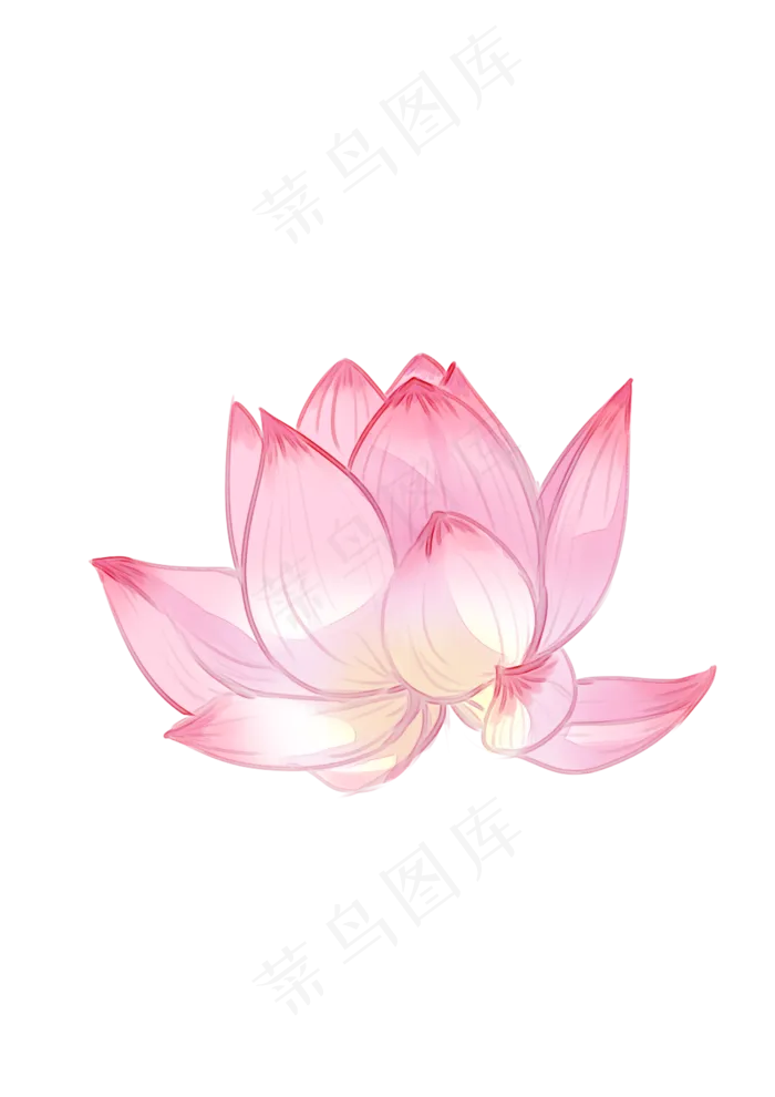 手绘夏日荷花PNG下载(2480X3508(DPI:300))psd模版下载