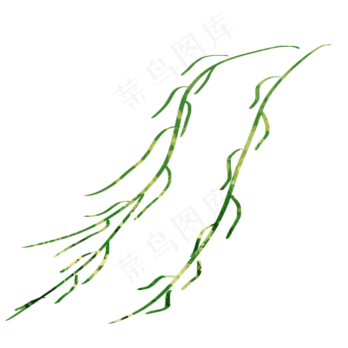 柳树树枝手绘插画植物装饰