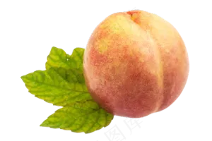 新鲜桃子