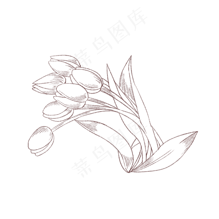 郁金香创意矢量手绘花卉