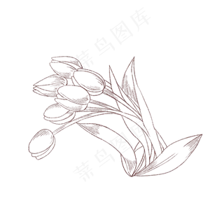 郁金香创意矢量手绘花卉