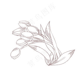 郁金香创意矢量手绘花卉