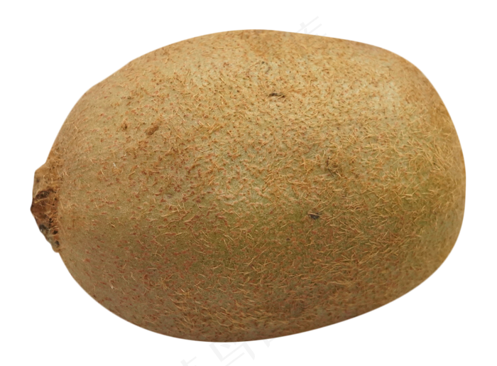 猕猴桃热带水果