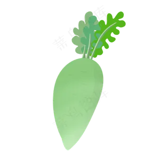 有大叶子的青萝卜