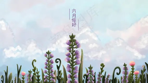 六月你好紫色的花朵 六月你好紫色的花朵