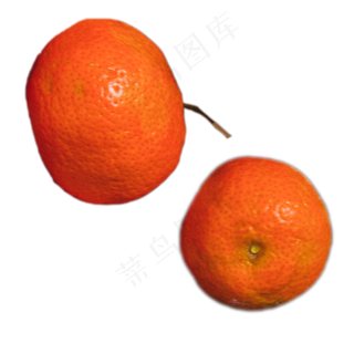 黄色橘子水果果子