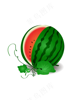 矢量夏天红色绿色西瓜