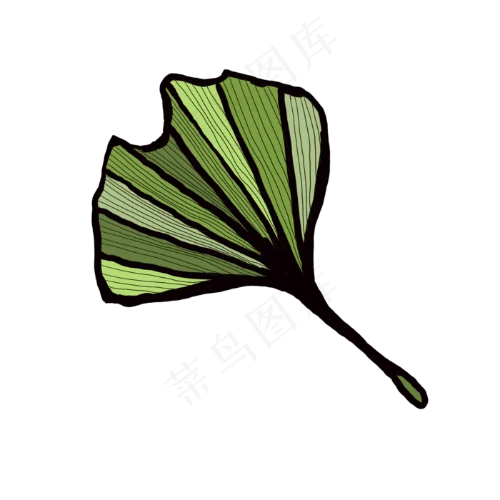 一片扇形树叶创意免抠插图(2000X2000(DPI:132))psd模版下载