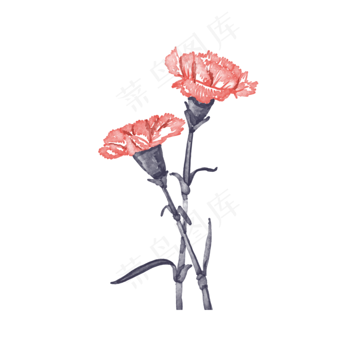 花花朵花色花瓣康乃馨母亲我爱你(2000X2000(DPI:300))psd模版下载