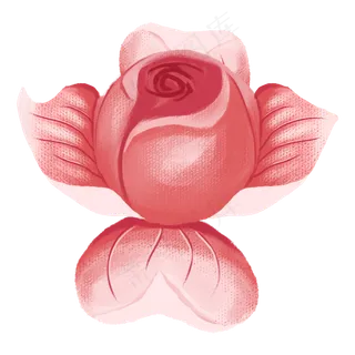 化妆品红色玫瑰叶子