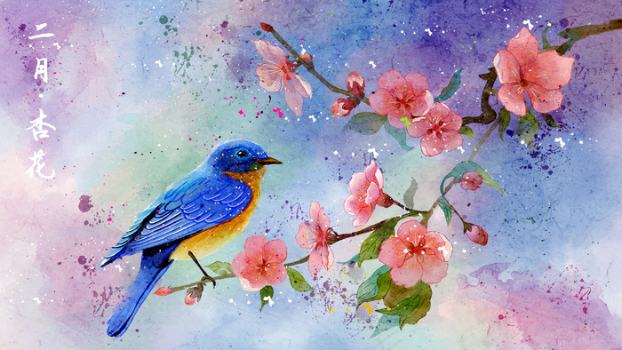 水彩花鸟画十二月花信之二月杏花
