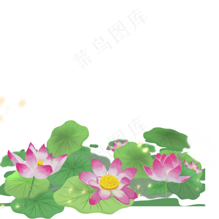绿色的荷叶荷花免抠图