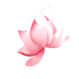 彩色荷花植物元素