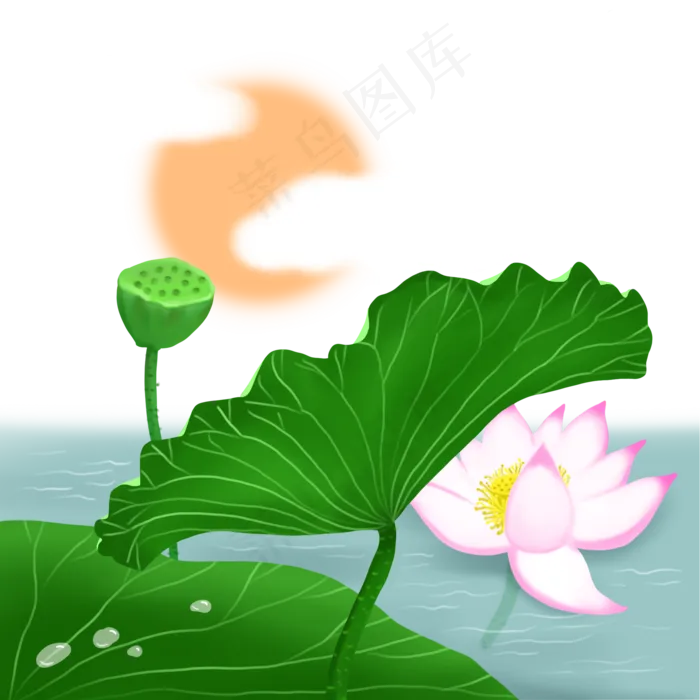 荷花和叶荷塘景色唯美(2000X2000(DPI:300))psd模版下载