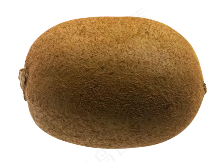 热带水果猕猴桃