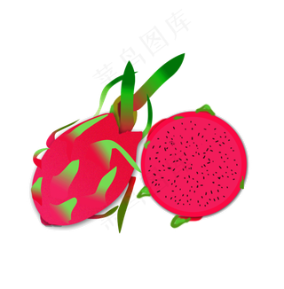 夏季逼真红心火龙果手绘png下载