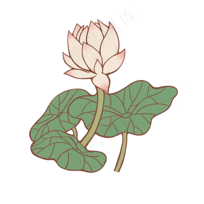 手绘荷花荷叶粉色的花(2000X2000(DPI:300))psd模版下载