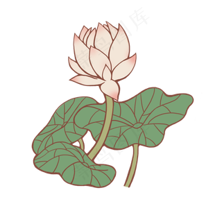 手绘荷花荷叶粉色的花
